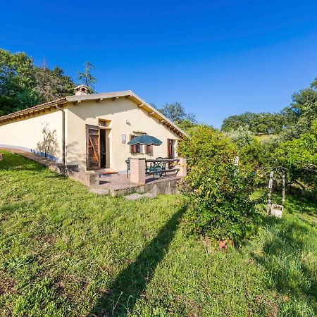 Holiday Home Grilli By Interhome Scansano Extérieur photo